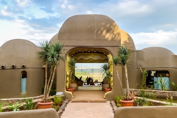 lion honeymoon